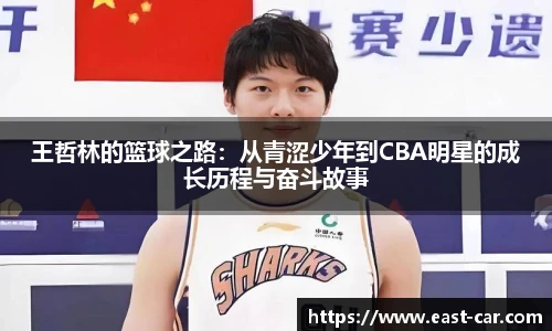 王哲林的篮球之路：从青涩少年到CBA明星的成长历程与奋斗故事